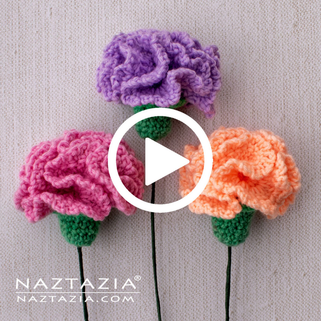 Facebook Video